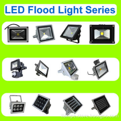 Shenzhen Lamp Manufacturer, 30W LED Floodlight with Sensor